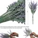 thumbnail image 2 of Juego de 10 flores artificiales de lavanda para decoración del hogar, plantas moradas artificiales con tallos de plástico para jardín floral JAMW Sencillez, 2 of 5