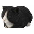 thumbnail image 3 of Estatua de gato durmiendo Hi-Line Gift Ltd., poliresina blanca y negra, 3 of 5