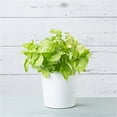 thumbnail image 3 of Root & Vessel Majestic Full Depth Cylinder Planter, White, 10", 3 of 5