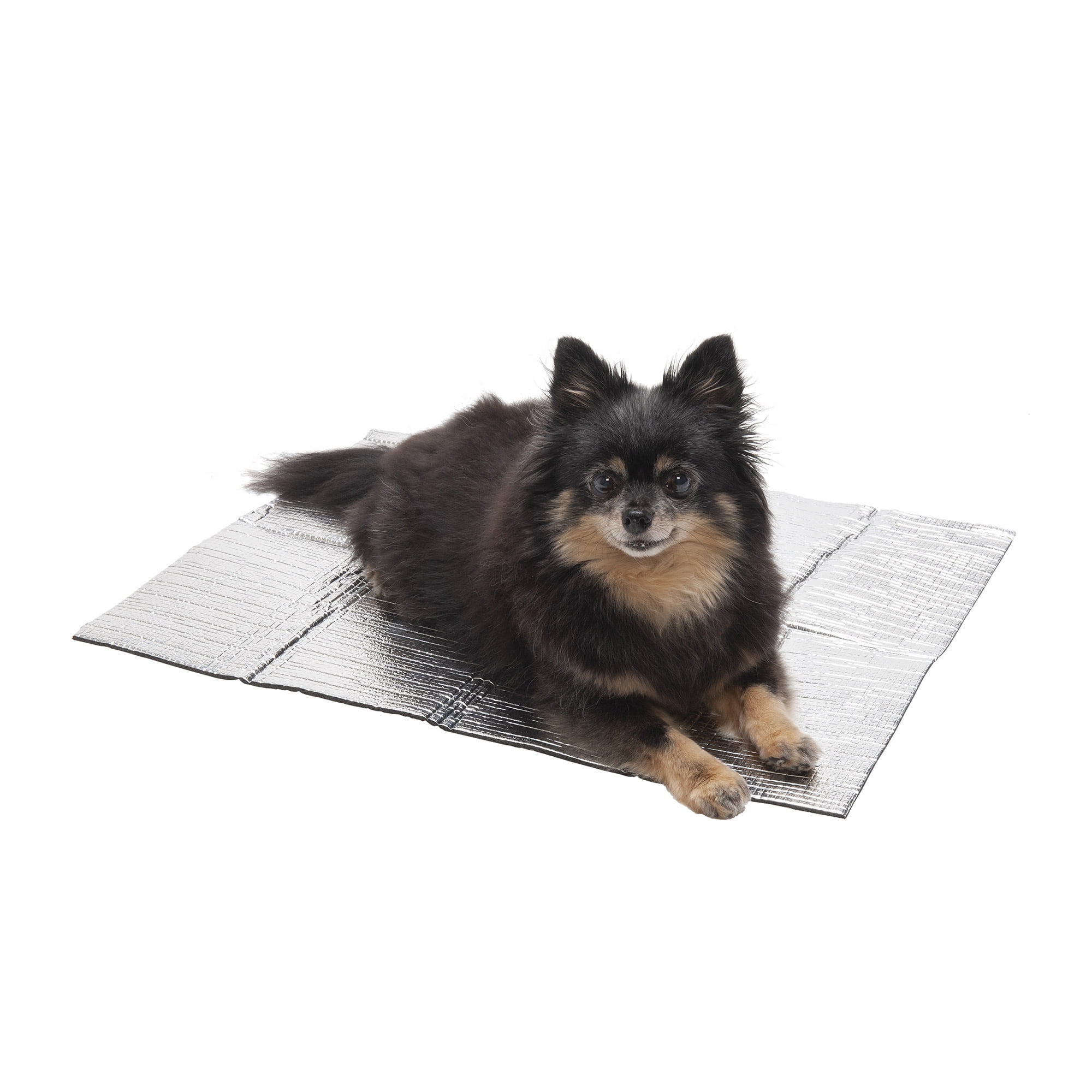 Dog Heating Pad Walmart 2025