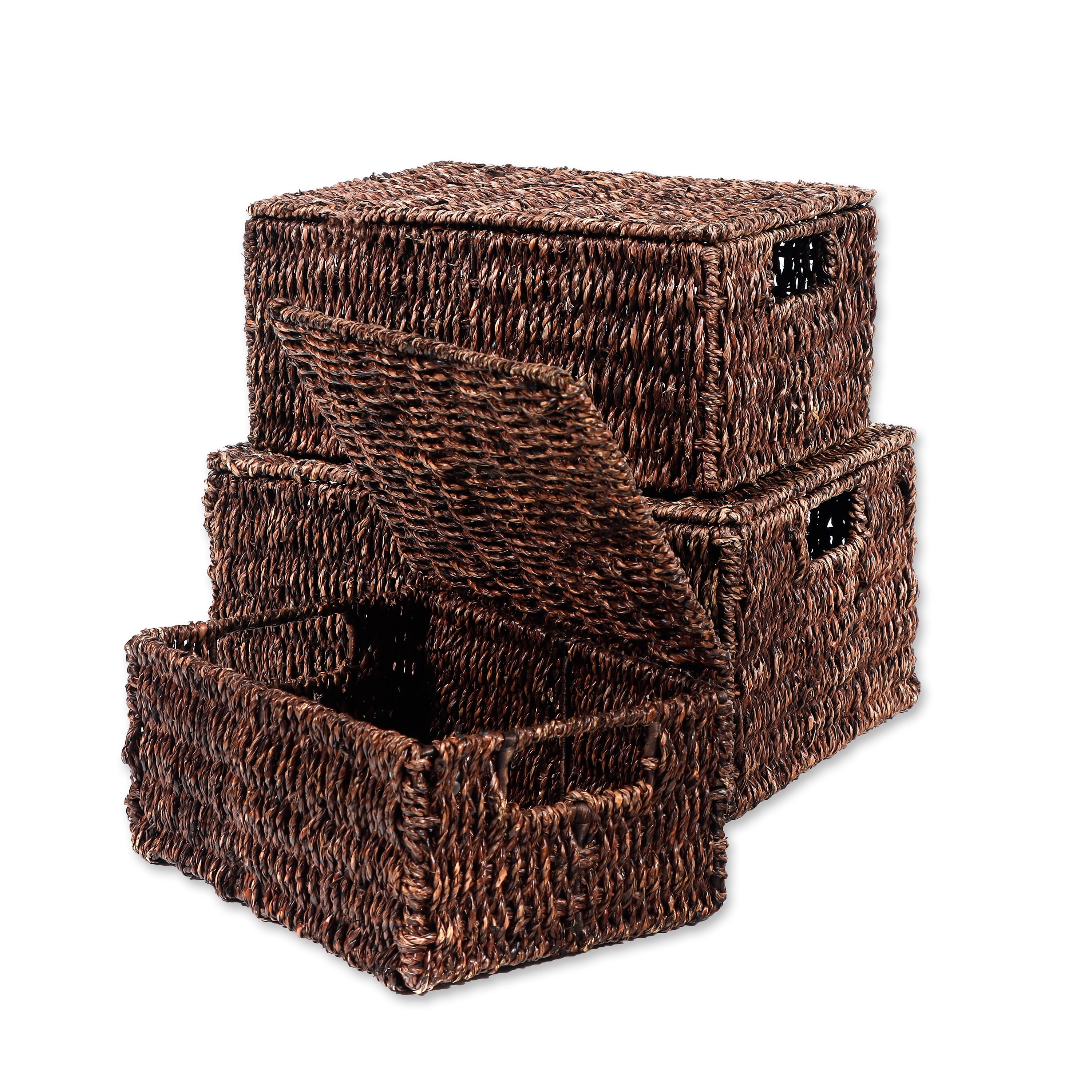 Rectangular Seagrass Baskets with Lids (Set of 3, Brown)