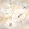 thumbnail image 3 of Coulter, Cynthia 20x20 Black Modern Framed Museum Art Print Titled - White Poppies II, 3 of 5
