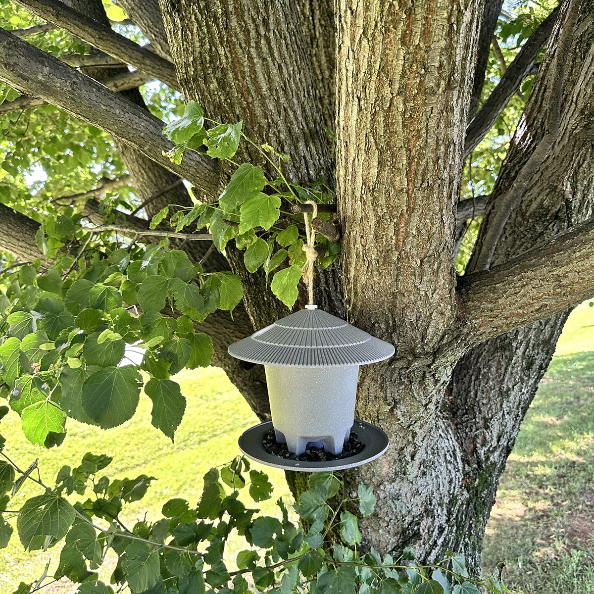 Tierra Garden Deluxe Round Bird Feeding Station, Straw, 1-Piece, 8.6 in Capacity