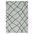 thumbnail image 1 of Loloi Tangier Shag TG-03 Indoor Area Rug, 1 of 2