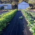 thumbnail image 4 of Agfabric Landscape Fabric Weed Barrier Ground Cover Garden Mats for Weeds Block in Raised Garden Bed, 3 Ft X 330 Ft, 4 of 7