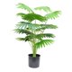 thumbnail image 1 of Planta artificial creativa, árbol bonsái artificial para sala de estar, escritorio y oficina. 40x70 cm, 1 of 9