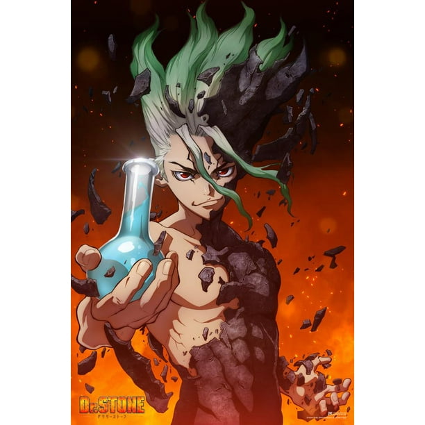 Dr Stone Anime Series Key Art Crunchyroll Webtoon Merch Art Print Poster 24x36 Walmart Com