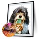 thumbnail image 4 of Cuadros Decorativos Perro gato diamante 5D DIY diamante pintura foto bordado punto de cruz decoración JShteea Nuevos Originales, 4 of 8