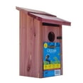 thumbnail image 6 of Pennington Red Cedar Bluebird Wild Bird House, 2 Pack 13'' Tall, 6 of 16