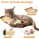 thumbnail image 2 of Beewarm Flopping Fish Cat Toy - 4 tipos de peces para elegir - Motion Kitten Toy, Plush Interactive Cat Toys, Fun Toy para Cat Exercise Red Carp brillar Hogar, 2 of 5
