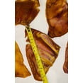 thumbnail image 6 of ***25 JUMBO*** Pig Ears - 100% All Natural - America’s #1 Dog Selling Treat! Get ‘Em Here Today! Approximately 2.5 POUNDS!, 6 of 7