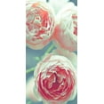 thumbnail image 2 of Telik, Tracey 11x18 White Modern Wood Framed Museum Art Print Titled - English Roses, 2 of 4