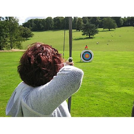 - LAMINATED POSTER Target Bows And Arrows Archery National Trust Lawn Poster Print 24 x 36