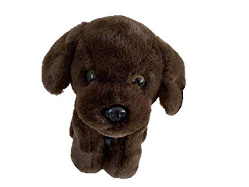 cats and stuffed animals