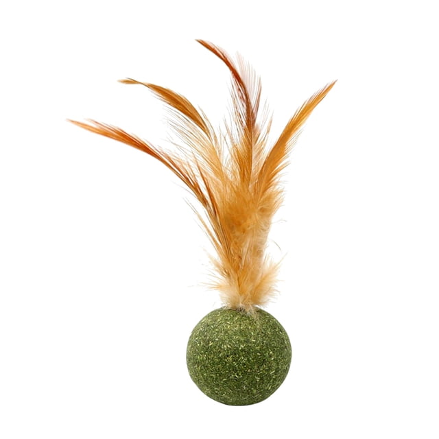 Juguetes para gatos Juguetes de plumas para gatos Juguetes para lamer y masticar Juguetes para limpiar los dientes de los gatos Gatos