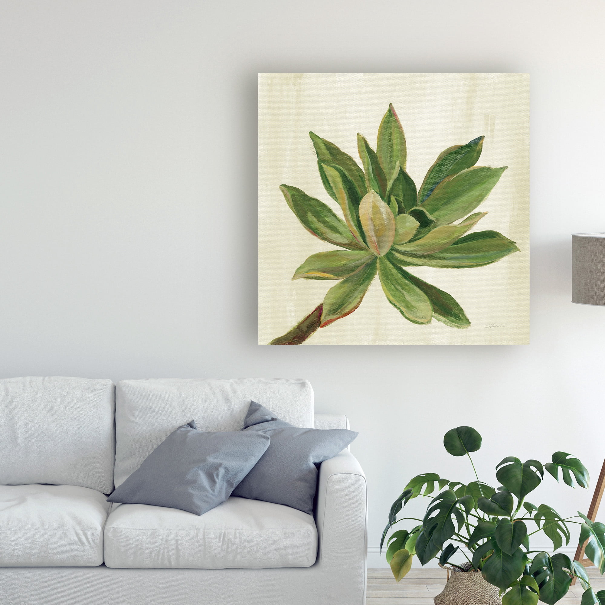 Trademark Fine Art 'Front Yard Succulent I' Canvas Art by Silvia Vassileva