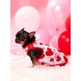 thumbnail image 1 of PETSIN Réservoir pour Animaux Motif Cœur 1 Pce pour la Saint-Valentin, 1 of 5