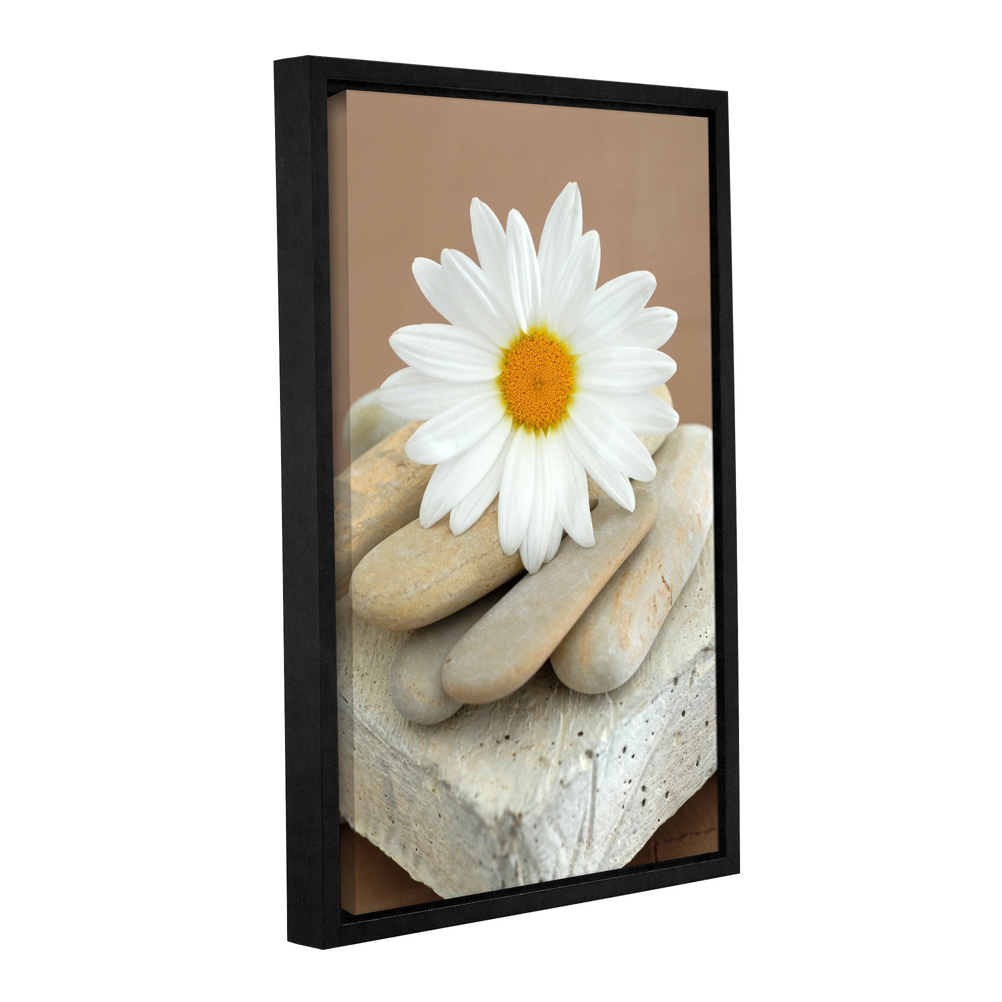 ArtWall Elena Ray "Contemporary Design Daisy and Stones" Gallery-Wrapped Floater-Framed Canvas