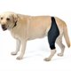 thumbnail image 1 of Dog Knee Brace For Acl, Knee Cap Dislocation, Arthritis - Keeps The Joint Warm - Extra Support - Reduces Pain, 1 of 2