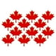 thumbnail image 4 of 12 pines de metal esmaltados con forma de hoja de arce del Día de Canadá para ropa, bolsos, sombreros, recuerdos patrióticos canadienses., 4 of 8