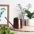 thumbnail image 4 of GAXIRE Kettle Para De Plantas De Interior Y Exterior En Inoxidable Marrón, 4 of 8