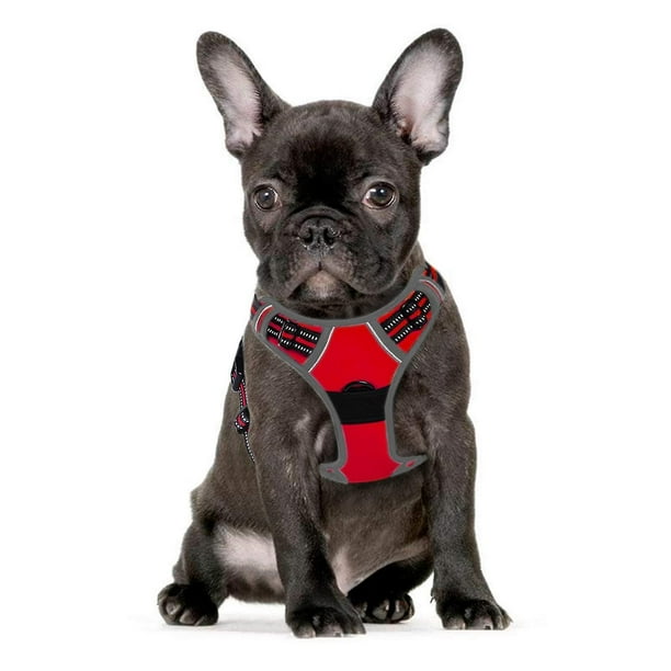 Arnés para perros, arnés de chaleco con clip Arnés para auto para perros con almohadilla Adjable malla capaz y fácil de