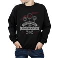 thumbnail image 2 of Harry Potter Boys Quidditch At Hogwarts Sweatshirt, 2 of 8