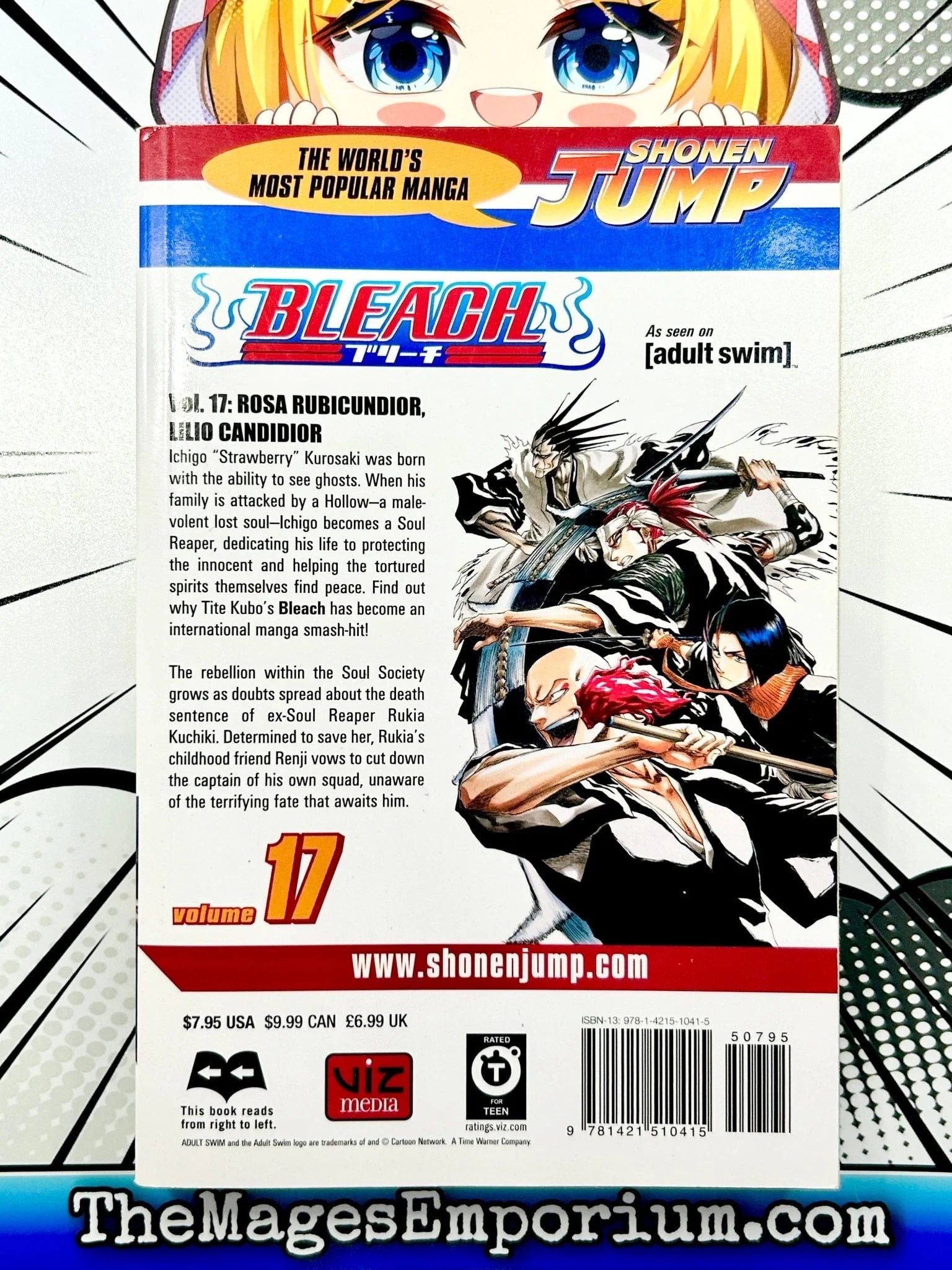 Bleach, Vol. 17 Binding: Paperback - Walmart.com