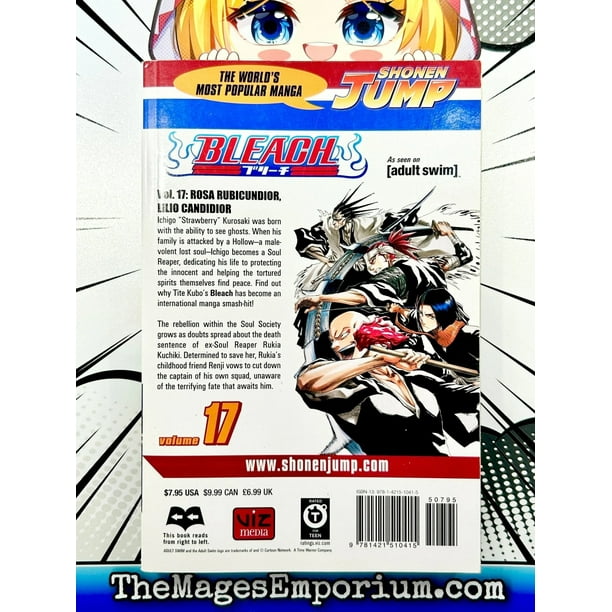 Bleach, Vol. 17 Binding: Paperback - Walmart Business Supplies
