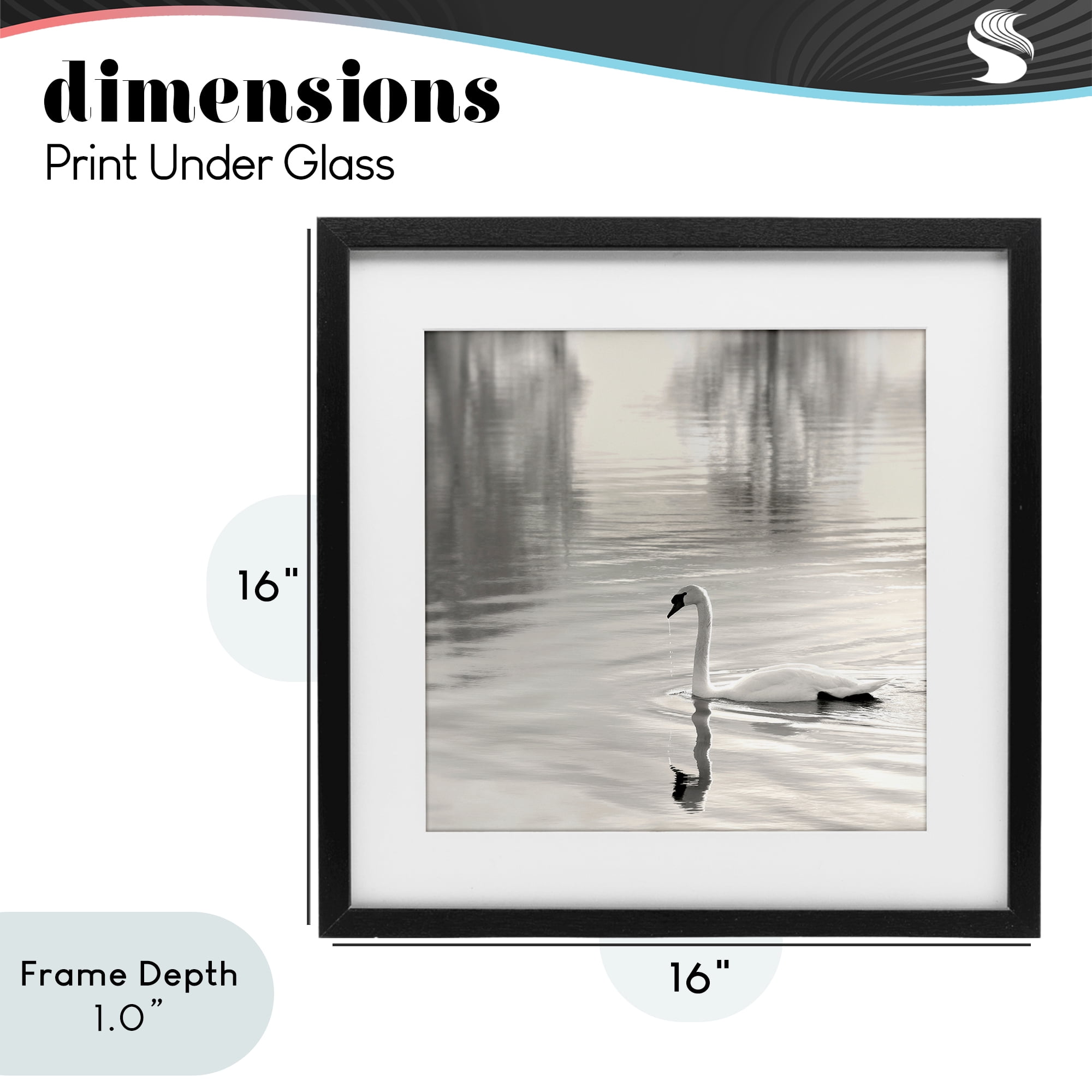 Stupell Industries Morning Sunlit Swan Black Framed Print Under Glass, design by Nicholas Bell