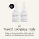 thumbnail image 2 of Home Scent Refill Pura & Brooklyn Candle Studio Smart Difusor, 2 of 8