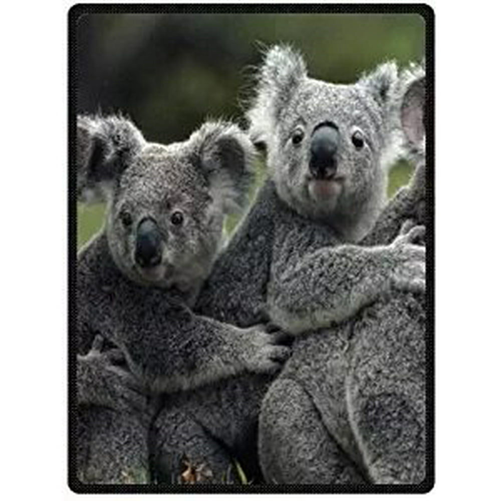 CADecor Cute Koala bear Blanket Travel Fleece Throw Blanket 58x80