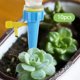 thumbnail image 1 of Regadera de plantas con de autorriego para plantas de interior y oficina en macetas Azul 10 piezas, 1 of 8