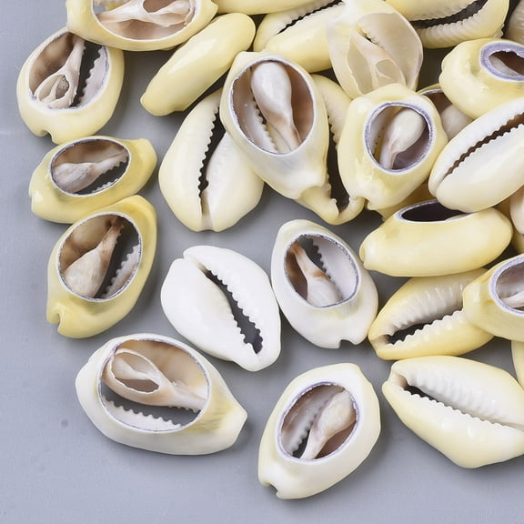20pcs Cowrie Shell Beads No Hole/Undrilled Light Khaki 19~27x14~19x6~7mm