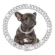 thumbnail image 1 of Expawlorer Collares De Cadena Para Perro ' Collar De Perro C, 1 of 7