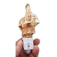 thumbnail image 2 of Seashell Night Light Real Fox Conch Beach Decor w. Auto Light Sensor Beautiful Coastal Cottage, 2 of 3