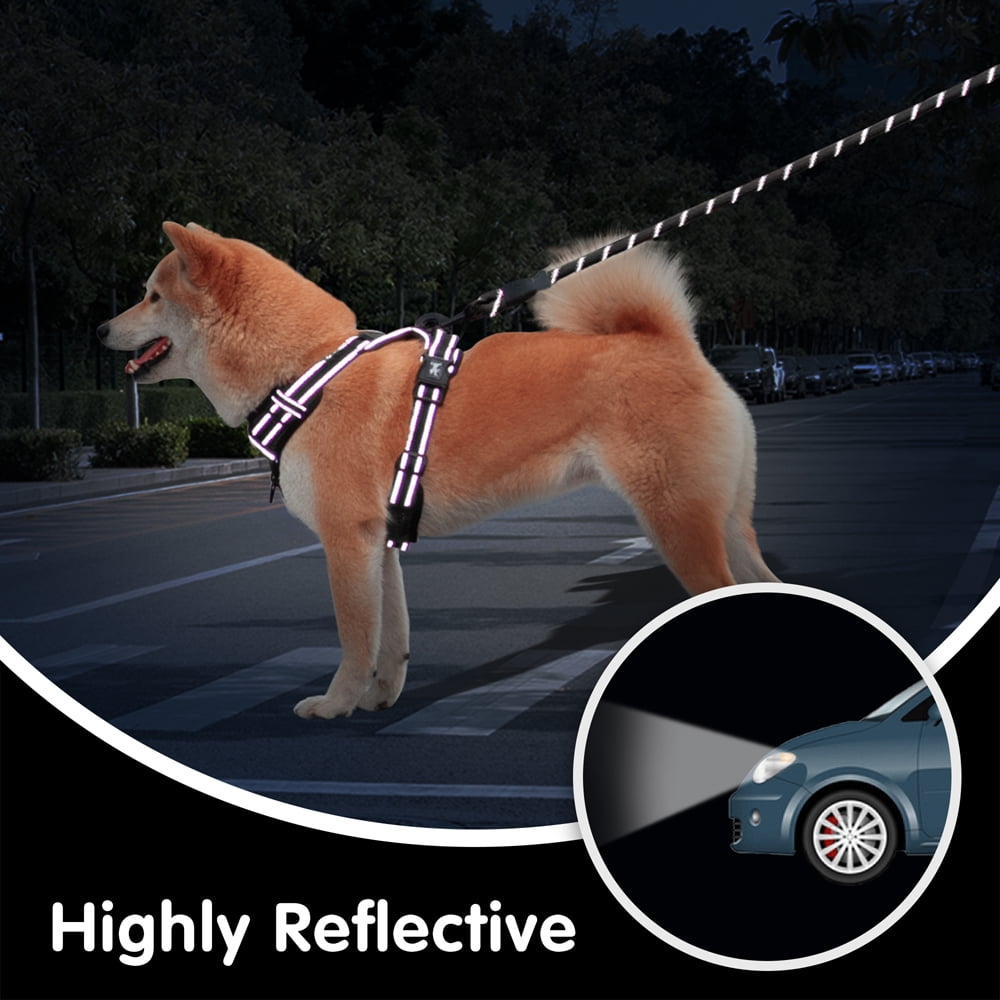 PoyPet Dog Harness and Leash Combo, Escape Proof No Pull Vest Harness, Reflective Adjustable Soft Padded Pet Harness with Handle for Small to Large Dogs