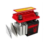 Skyhawk 50cc Mini Skyhawk YTX4L-BS(MF) SLA Powersport Replacement Battery by Neptune