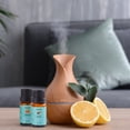 thumbnail image 5 of Fruity Fragrance Premium Aromatherapy Diffuser Oils Set For Candle & Soap Making - 10-Pack, 5 of 8