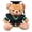 Green collar, variant on Academic Celebration Bear Soft Stuffed Customizable Graduation Bear Plush Gift For Various Education Levels