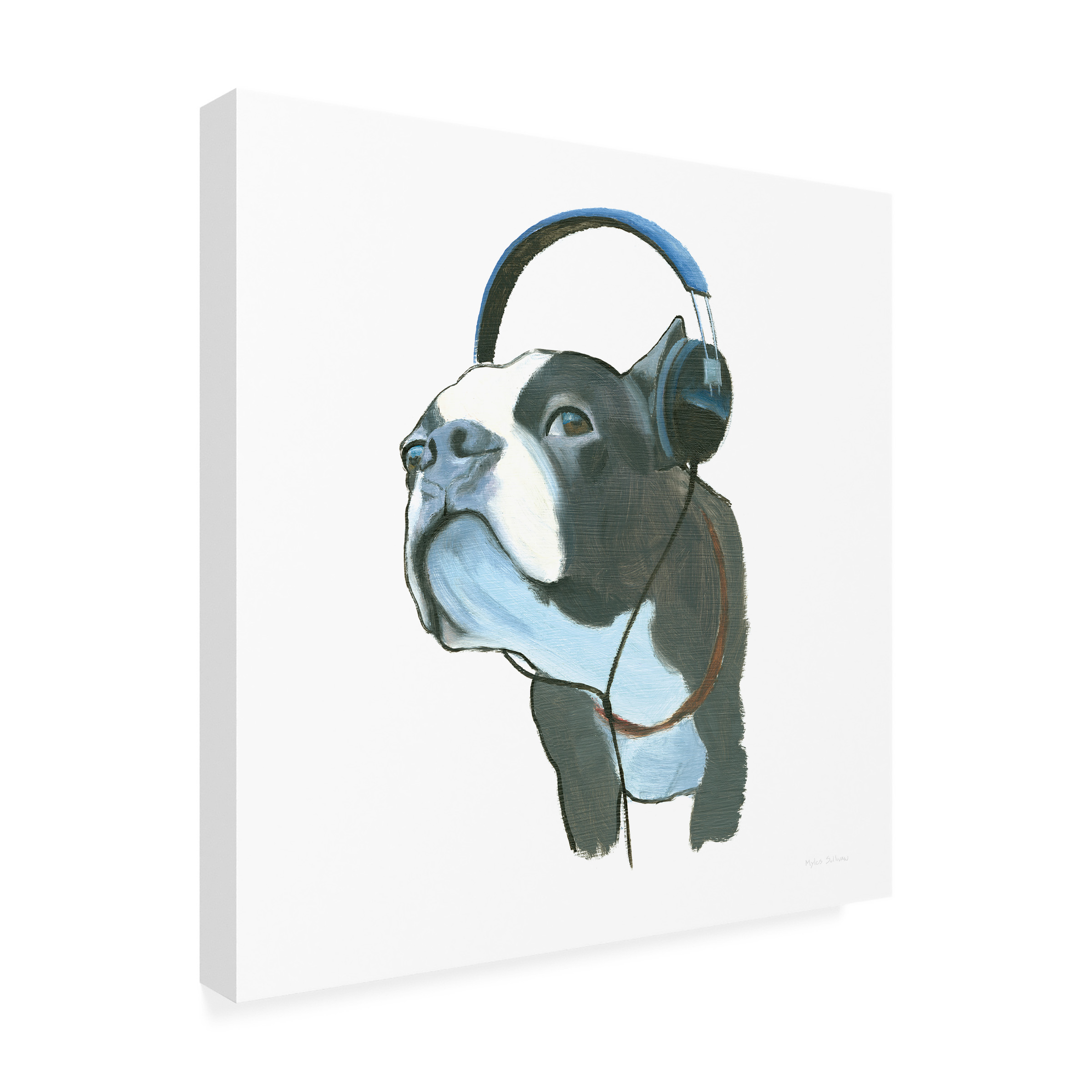 Trademark Fine Art "The Boys III" Canvas Art by Myles Sullivan