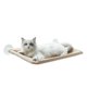 thumbnail image 1 of Percha for ventana de gato, ventosas fuertes, asiento de ventana for hamaca de gato de seguridad fácil de limpiar, 1 of 6