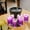 Violet, variante sur Verres et Bouteilles Sans Pied et Gobelets à Eau - Verres Incassables pour Cuisine, Salle à Manger et Bar, Ensemble de Gobelets en Acrylique Durable, Entretien Facile