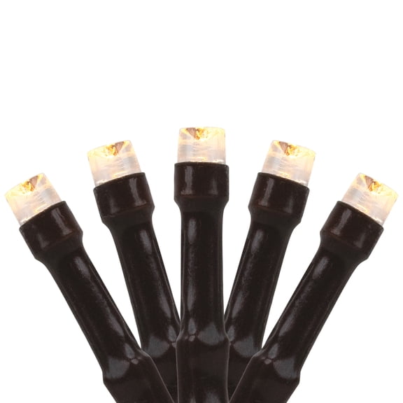 Battery Operated LED Christmas Lights - Warm White - 9.5' Brown Wire - 20ct