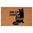 thumbnail image 1 of MesaSe Entryway Rug Wear Resistant Non-Slip Quick-drying Halloween Themed Print Area Rug Door Carpet Decoration Style C 40x60cm, 1 of 13