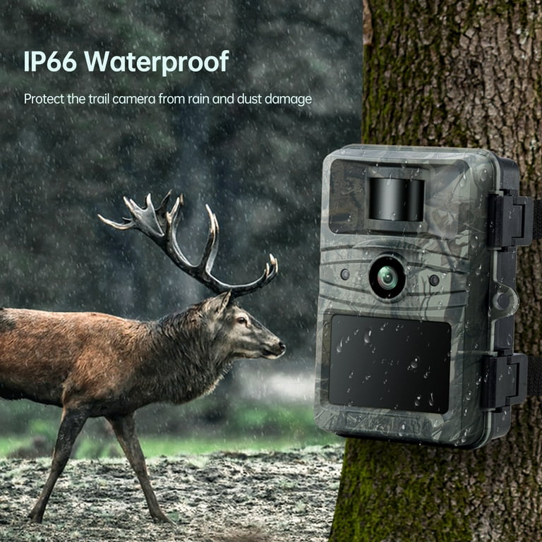 Repressalier blyant enkelt gang CAMPARK 4K Trail Camera Hunting Game Camera 32MP Infrared Night Vision  Motion Activated Waterproof IP66 0.1s Trigger Loop Recording Time Lapse  2.4" LCD Trail Wildlife Cam Surveillance Monitors - Walmart.com