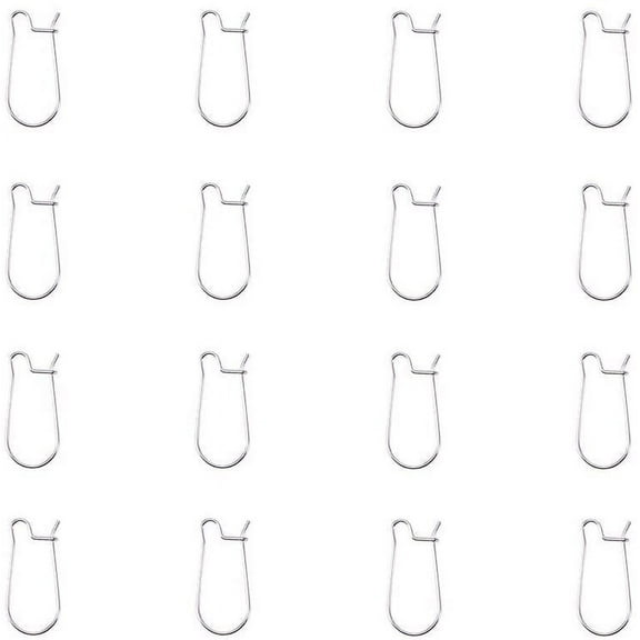 50 Pcs 304 Stainless Steel Earrings Hooks Earwires Components ney Ear Wires 20x10mm for Drop Dangle Earrings