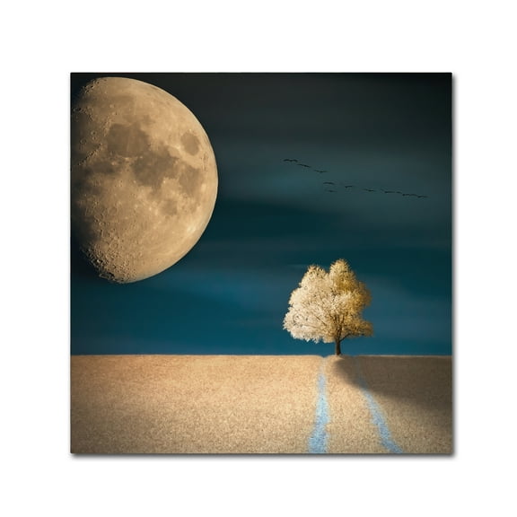 Trademark Fine Art 'Gmo' Canvas Art by Piotr Krol