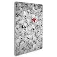 thumbnail image 2 of Trademark Fine Art "Rebel Leaf" Canvas Art by Philippe Sainte-Laudy, 2 of 3