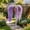 Purple, variant on 5 Pcs Hanging Artificial Willow Leaf Vine,Suitable for Wall Mount,Ceiling Hanging,Creates Soft Cascading Hanging Visual Effect for Ceiling Hanging,Wedding Arch,Window Sill,Balcony,37"(Purple)